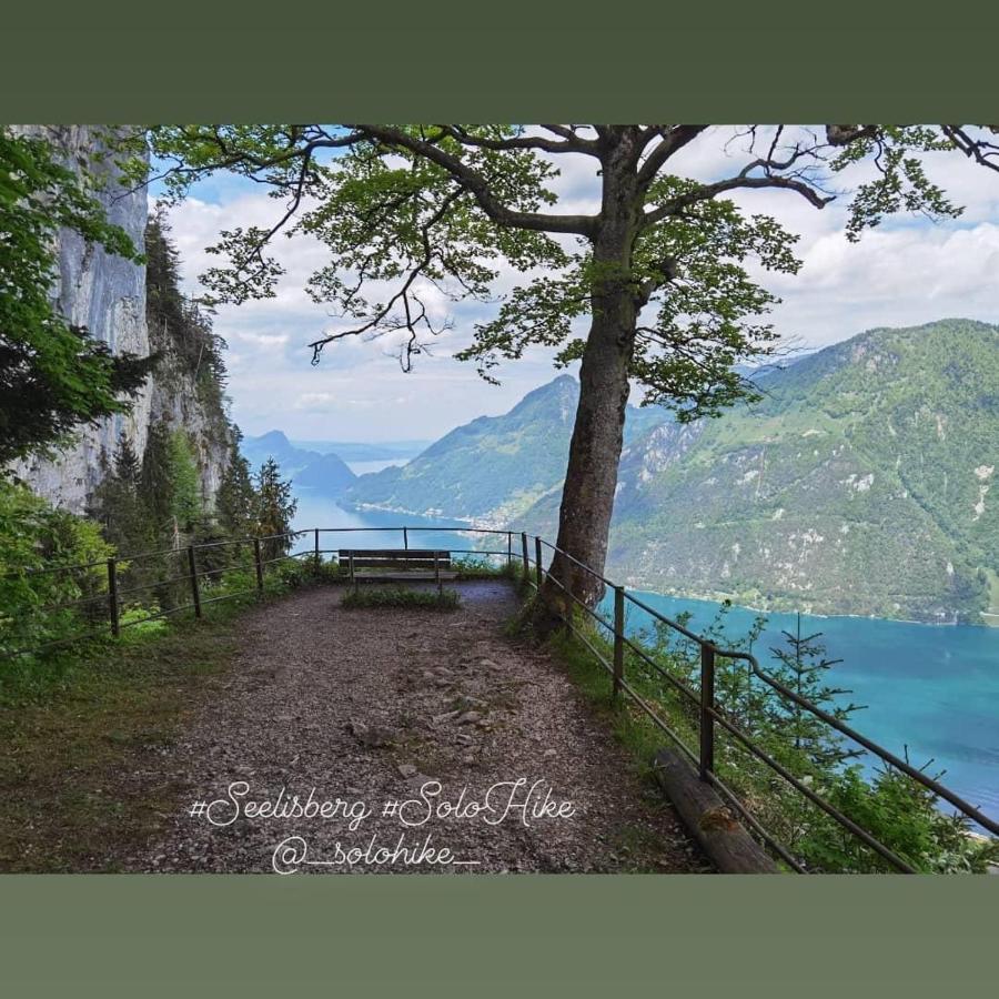 Schoene Ferienwohnung In Traumlage Fewo Solohike Seelisberg Εξωτερικό φωτογραφία